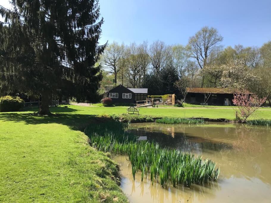 Halfmoon Lodge @ Knights Hole Wheelchair Access 克兰布鲁克 外观 照片