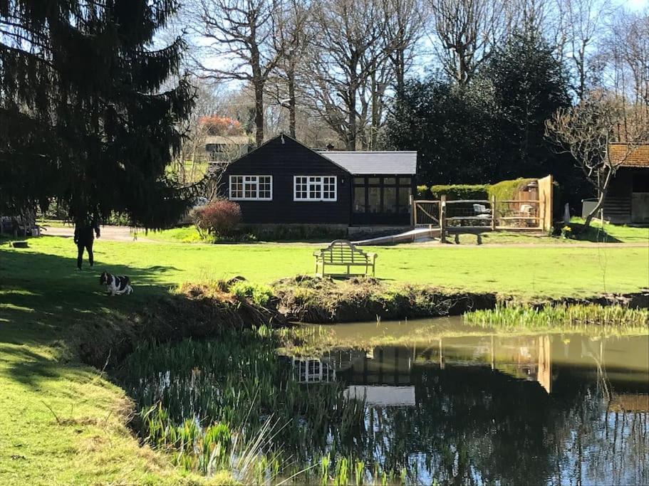 Halfmoon Lodge @ Knights Hole Wheelchair Access 克兰布鲁克 外观 照片